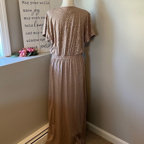 Garnet Hill Champagne Sequined Knit Maxi Dress - Picture 4 of 6